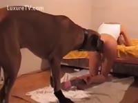 Zoophilia XXX - My a-hole is willing to acquire screwed